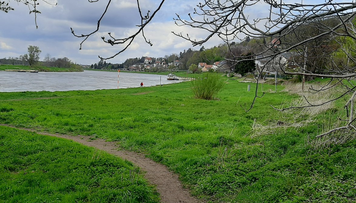 2021 05 03 Elberadweg Niederpoyritz 1 Foto ADFC Dresden klein