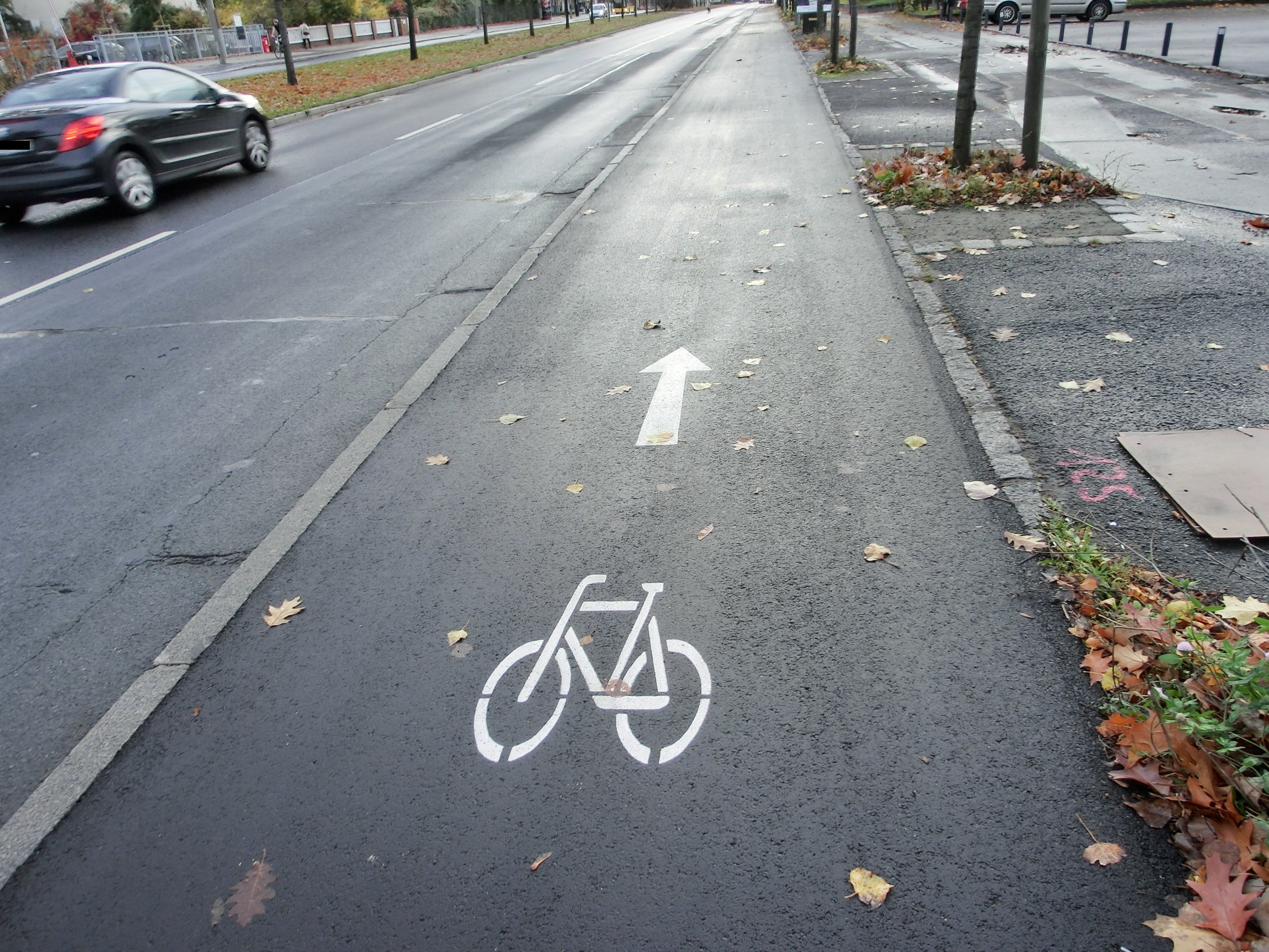 Zellescher Weg Radsymbol